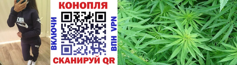 Шишки марихуана тримм  Новодвинск 